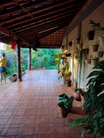 imagem 1 - **LINDA CASA COM POMAR EM BRODOWSKI imagem 1 - **LINDA CASA COM POMAR EM BRODOWSKI