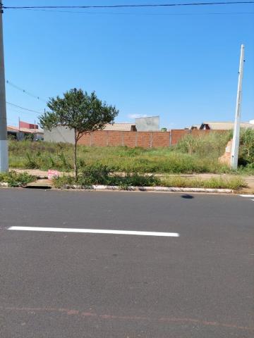 imagem 2 - Terreno - Padrão imagem 2 - Terreno - Padrão
