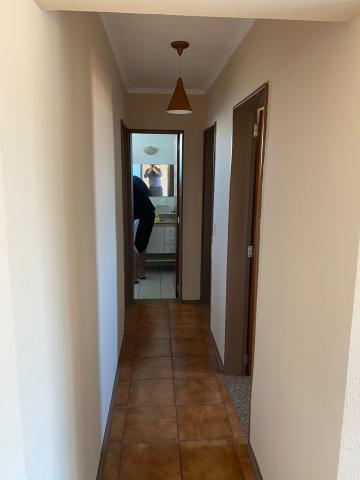 imagem 5 - APARTAMENTO NA NOVA RIBEIRÂNIA imagem 5 - APARTAMENTO NA NOVA RIBEIRÂNIA