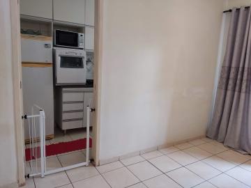 imagem 4 - Apartamento de 46m² com 02 quartos - Condomínio Residencial Ipiranga imagem 4 - Apartamento de 46m² com 02 quartos - Condomínio Residencial Ipiranga
