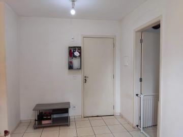 imagem 5 - Apartamento de 46m² com 02 quartos - Condomínio Residencial Ipiranga imagem 5 - Apartamento de 46m² com 02 quartos - Condomínio Residencial Ipiranga