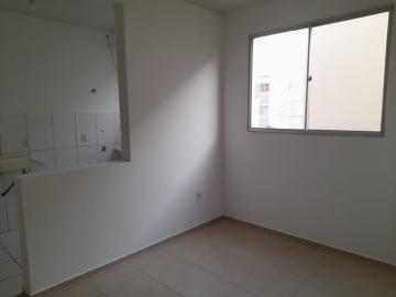 imagem 4 - Apartamento de 48m² com 02 quartos Jardim Manoel Penna imagem 4 - Apartamento de 48m² com 02 quartos Jardim Manoel Penna