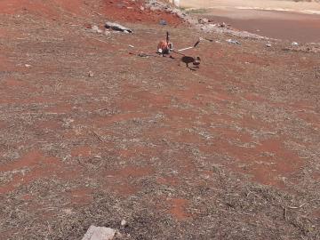 imagem 2 - Terreno de 244m² para venda - Guariba imagem 2 - Terreno de 244m² para venda - Guariba