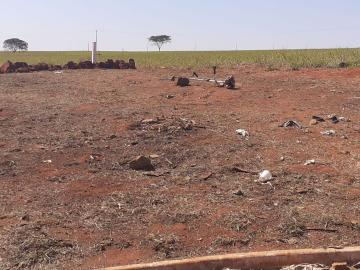 imagem 3 - Terreno de 244m² para venda - Guariba imagem 3 - Terreno de 244m² para venda - Guariba