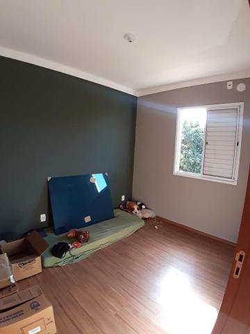 imagem 5 - APARTAMENTO PRÓXIMO À AVENIDA HENRI NESTLE imagem 5 - APARTAMENTO PRÓXIMO À AVENIDA HENRI NESTLE