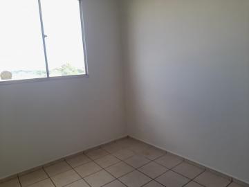 imagem 4 - APARTAMENTO NOS CAMPOS ELÍSEOS imagem 4 - APARTAMENTO NOS CAMPOS ELÍSEOS