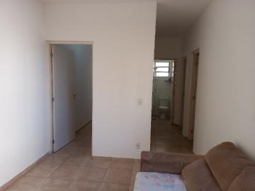imagem 2 - Apartamento de 43m² com 02 quartos à venda - Jardim Marchesi imagem 2 - Apartamento de 43m² com 02 quartos à venda - Jardim Marchesi