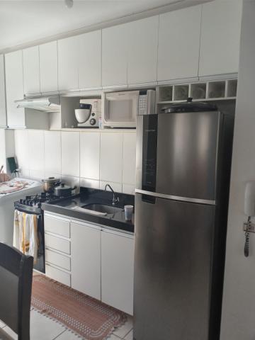 imagem 3 - Apartamento - Padrão imagem 3 - Apartamento - Padrão