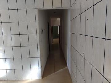 imagem 4 - CASA TÉRREA PRÓXIMO À RODOVIA ANHANGUERA imagem 4 - CASA TÉRREA PRÓXIMO À RODOVIA ANHANGUERA