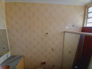 imagem 3 - Comercial padrão - Casa comercial imagem 3 - Comercial padrão - Casa comercial