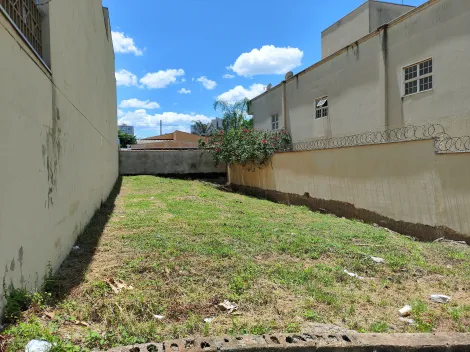 imagem 2 - Terreno de 310m² à venda - Jardim Botânico imagem 2 - Terreno de 310m² à venda - Jardim Botânico