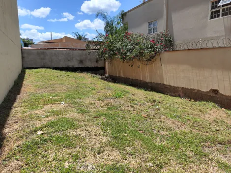 imagem 4 - Terreno de 310m² à venda - Jardim Botânico imagem 4 - Terreno de 310m² à venda - Jardim Botânico