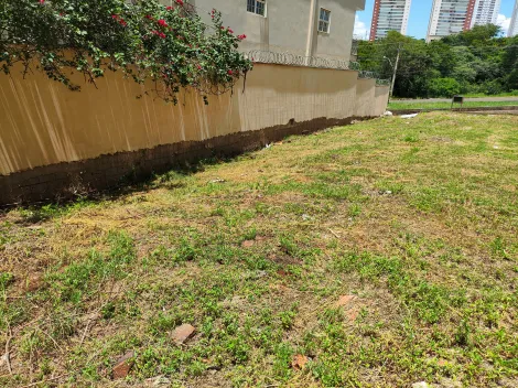 imagem 5 - Terreno de 310m² à venda - Jardim Botânico imagem 5 - Terreno de 310m² à venda - Jardim Botânico