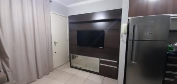 Alugar Apartamentos / Padrão em Ribeirão Preto R$ 1.000,00 - Foto 3