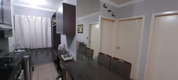 imagem 1 - APARTAMENTO TÉRREO PRÓXIMO À RODOVIA ANHANGUERA imagem 1 - APARTAMENTO TÉRREO PRÓXIMO À RODOVIA ANHANGUERA