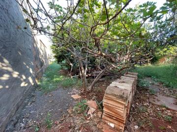 imagem 2 - ÓTIMO TERRENO NO BAIRRO SUMAREZINHO imagem 2 - ÓTIMO TERRENO NO BAIRRO SUMAREZINHO