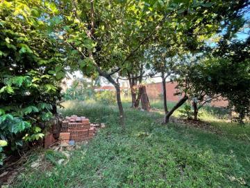 imagem 1 - Terreno de 268m² à venda - Sumarezinho imagem 1 - Terreno de 268m² à venda - Sumarezinho