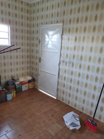 Alugar Casas / Padrão em Ribeirão Preto R$ 1.500,00 - Foto 3