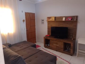 imagem 1 - APARTAMENTO PRÓXIMO À RUA CORONEL AMÉRICO BATISTA imagem 1 - APARTAMENTO PRÓXIMO À RUA CORONEL AMÉRICO BATISTA