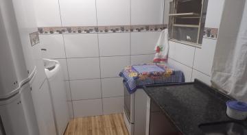 imagem 4 - APARTAMENTO PRÓXIMO À RUA CORONEL AMÉRICO BATISTA imagem 4 - APARTAMENTO PRÓXIMO À RUA CORONEL AMÉRICO BATISTA