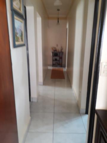 imagem 4 - APARTAMENTO PRÓXIMO À AVENIDA ANTÔNIO E HELENA ZERRENER imagem 4 - APARTAMENTO PRÓXIMO À AVENIDA ANTÔNIO E HELENA ZERRENER