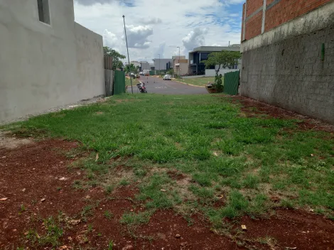 imagem 4 - Terreno de 256m² em condomínio à venda - Real Sul imagem 4 - Terreno de 256m² em condomínio à venda - Real Sul