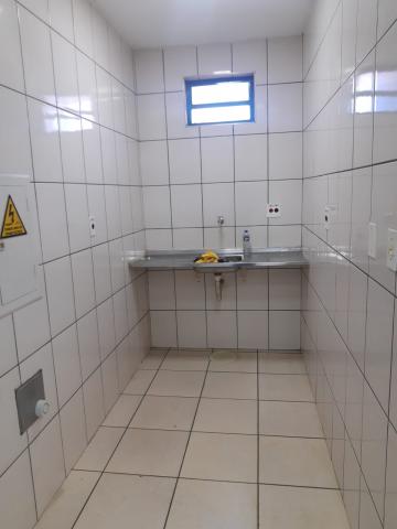 imagem 4 - Comercial padrão - Galpão - Armazém imagem 4 - Comercial padrão - Galpão - Armazém