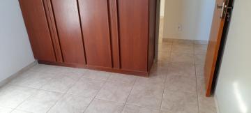 imagem 3 - Apartamento - Padrão imagem 3 - Apartamento - Padrão