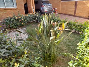 imagem 3 - MARAVILHOSA CASA COM 1 SUÍTE E 2 DORMITÓRIOS COM AR CONDICIONADO, PISCINA, CHURRASQUEIRA, 4 VAGAS, CÂMERA E CERCA ELÉTRICA NO SUMAREZINHO imagem 3 - MARAVILHOSA CASA COM 1 SUÍTE E 2 DORMITÓRIOS COM AR CONDICIONADO, PISCINA, CHURRASQUEIRA, 4 VAGAS, CÂMERA E CERCA ELÉTRICA NO SUMAREZINHO