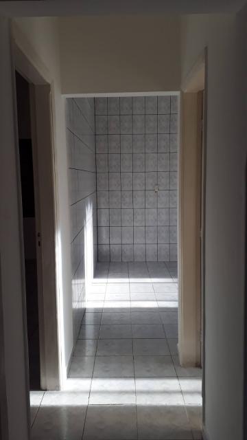 imagem 2 - RESIDÊNCIA PRÓXIMO Á AV D. PEDRO I imagem 2 - RESIDÊNCIA PRÓXIMO Á AV D. PEDRO I