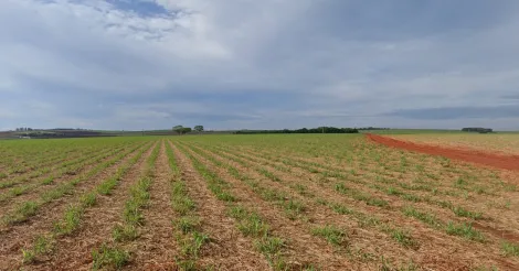 imagem 1 - Área com 217.800m² de terreno à venda - Reserva Macaúba imagem 1 - Área com 217.800m² de terreno à venda - Reserva Macaúba