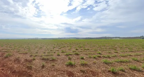 imagem 2 - Área com 217.800m² de terreno à venda - Reserva Macaúba imagem 2 - Área com 217.800m² de terreno à venda - Reserva Macaúba