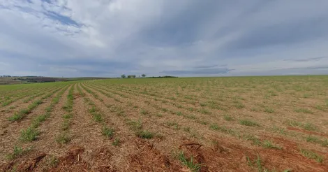 imagem 3 - Área com 217.800m² de terreno à venda - Reserva Macaúba imagem 3 - Área com 217.800m² de terreno à venda - Reserva Macaúba