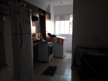 imagem 3 - APARTAMENTO PRÓXIMO AO SUPERMERCADO MIALICH imagem 3 - APARTAMENTO PRÓXIMO AO SUPERMERCADO MIALICH