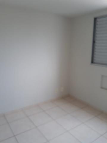 imagem 4 - ****APARTAMENTO EM BAURU**** imagem 4 - ****APARTAMENTO EM BAURU****
