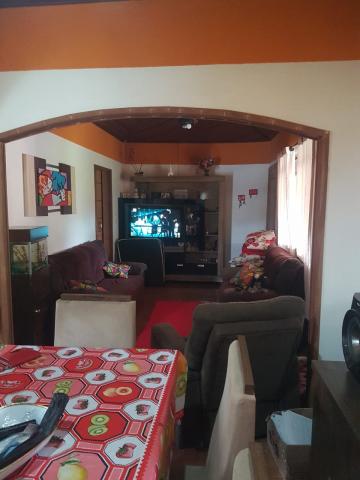 imagem 4 - CHACARA EM SÃO SIMÃO imagem 4 - CHACARA EM SÃO SIMÃO