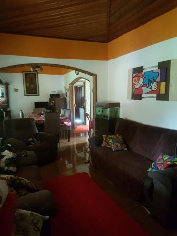 imagem 2 - CHACARA EM SÃO SIMÃO imagem 2 - CHACARA EM SÃO SIMÃO