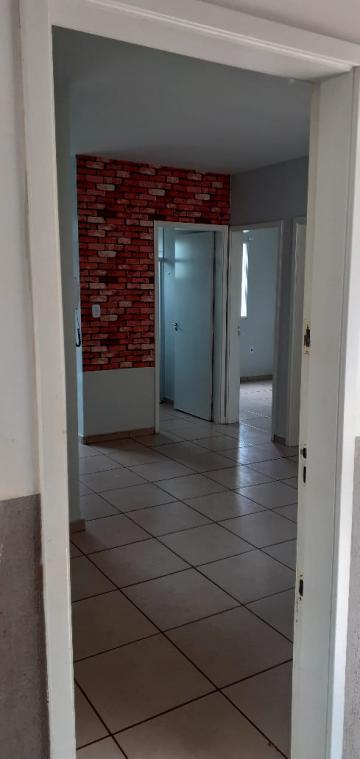 imagem 1 - APARTAMENTO PRÓXIMO À RODOVIA ANHANGUERA imagem 1 - APARTAMENTO PRÓXIMO À RODOVIA ANHANGUERA