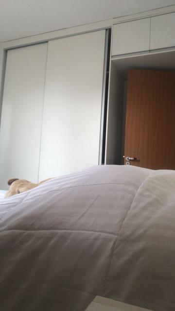 imagem 5 - Apartamento - Padrão imagem 5 - Apartamento - Padrão