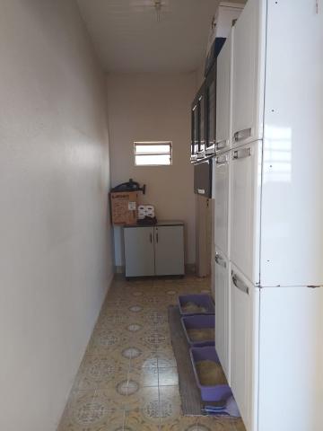 Comprar Casas / Padrão em Sertãozinho R$ 270.000,00 - Foto 9