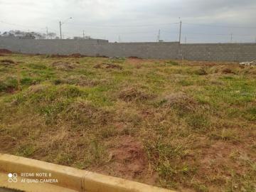 imagem 1 - Terreno - Padrão imagem 1 - Terreno - Padrão
