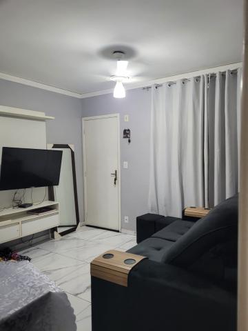 imagem 1 - APARTAMENTO PRÓXIMO À RODOVIA ANHANGUERA imagem 1 - APARTAMENTO PRÓXIMO À RODOVIA ANHANGUERA