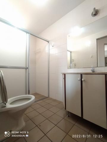 imagem 5 - Apartamento de 01 quarto para locação - Centro imagem 5 - Apartamento de 01 quarto para locação - Centro
