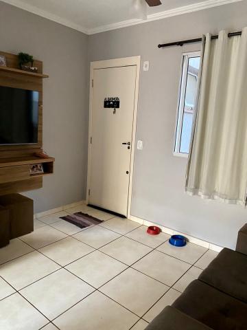imagem 1 - APARTAMENTO PRÓXIMO AO ATACADÃO imagem 1 - APARTAMENTO PRÓXIMO AO ATACADÃO