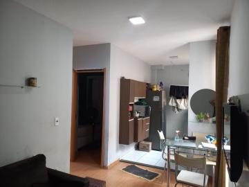 Apartamentos / Padrão em Ribeirão Preto 