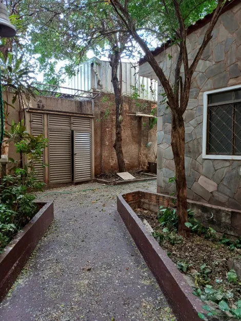 imagem 2 - Comercial 2 salões e Residencial casa 04 quartos sendo 02 suítes e duas quitinetes à venda no Centro de Ribeirão com 382m² imagem 2 - Comercial 2 salões e Residencial casa 04 quartos sendo 02 suítes e duas quitinetes à venda no Centro de Ribeirão com 382m²