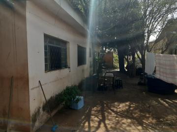 imagem 3 - Casa com muito terreno no Ipiranga imagem 3 - Casa com muito terreno no Ipiranga