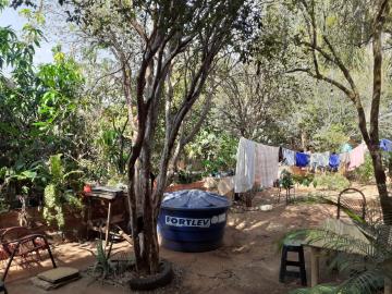 imagem 4 - Casa com muito terreno no Ipiranga imagem 4 - Casa com muito terreno no Ipiranga