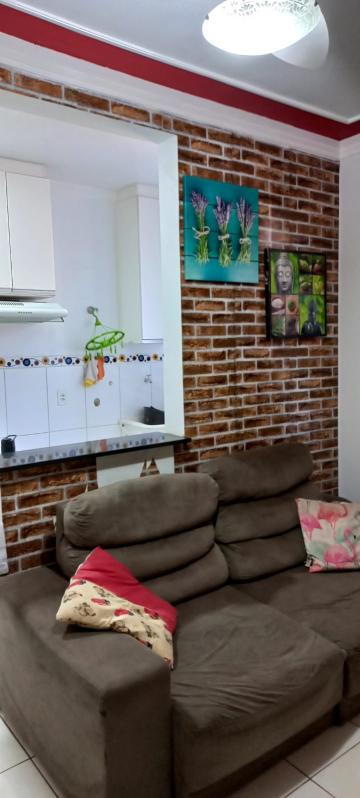 imagem 2 - Apartamento - Padrão imagem 2 - Apartamento - Padrão