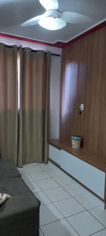 imagem 3 - Apartamento - Padrão imagem 3 - Apartamento - Padrão